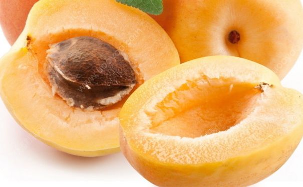 杏子能和葡萄一起吃吗(杏子不能和什么同食 哪些食物不能和杏一起吃)_QQ问问生活